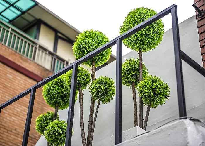Flexhome Pensión Seúl
